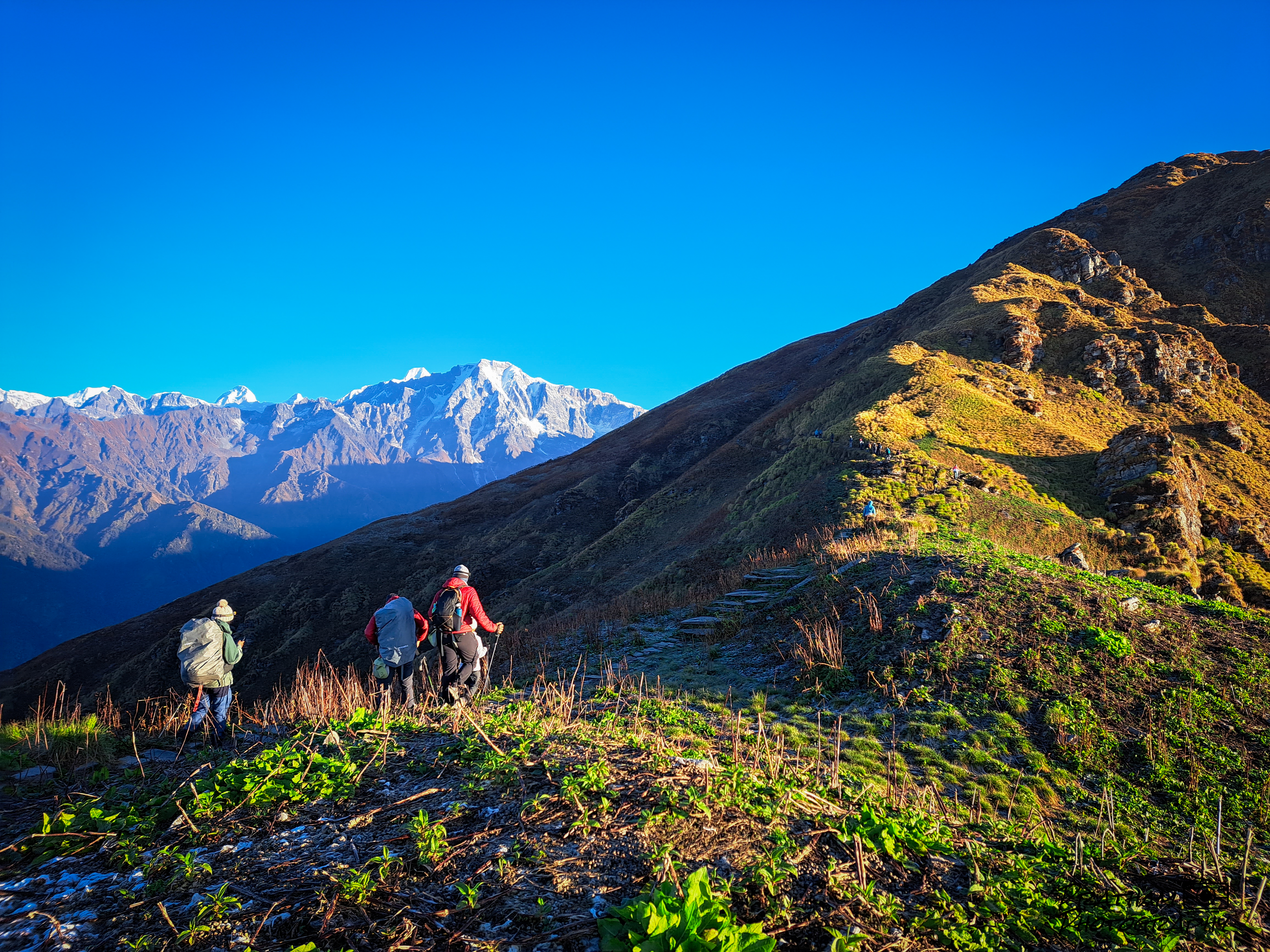 Best Treks in India 2026 | One Trek for Every Season
